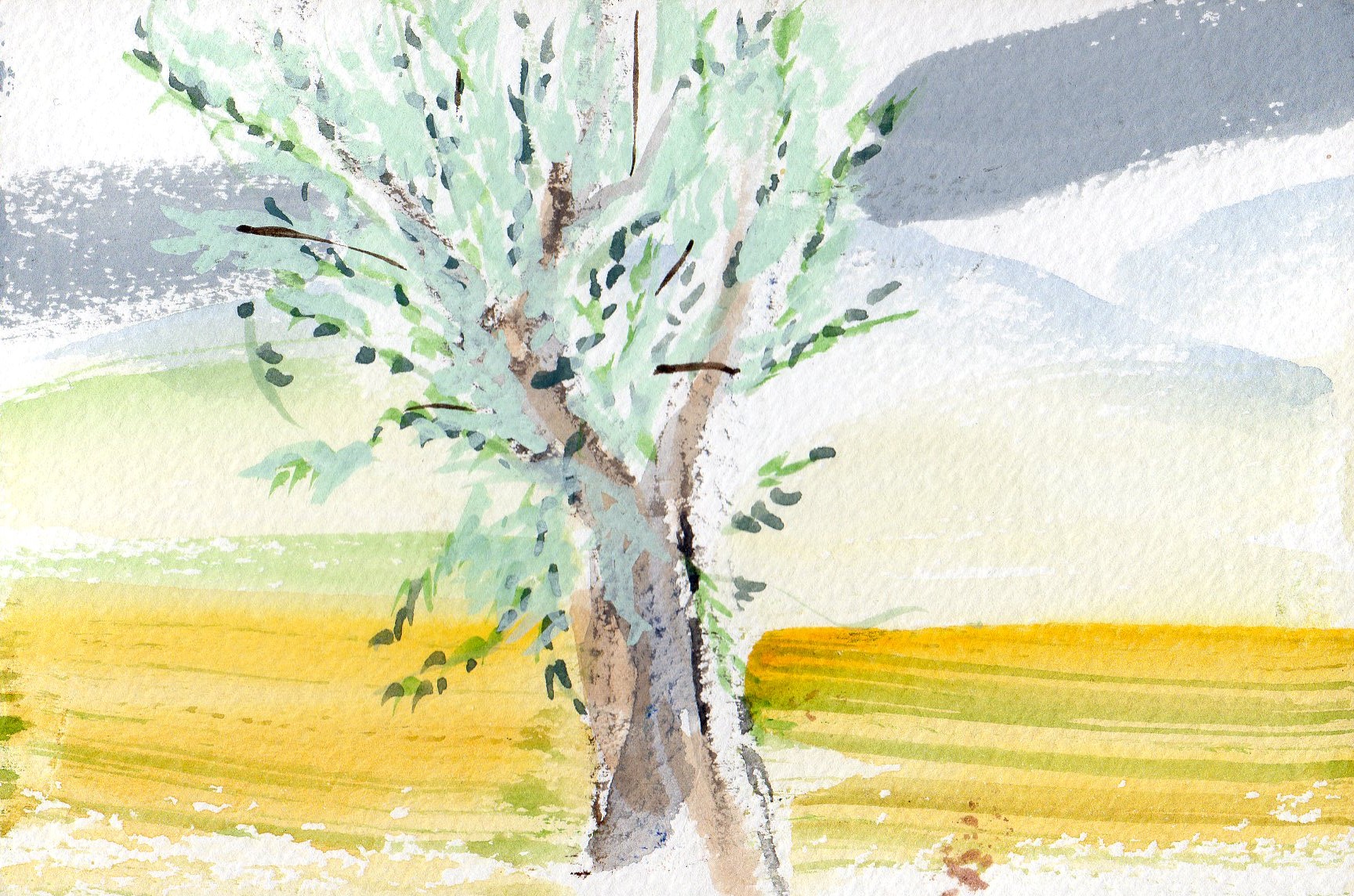 San Gimignano I